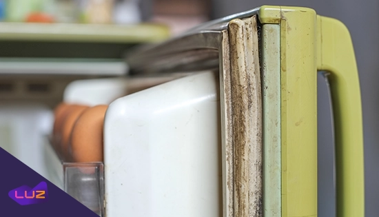 porta de geladeira velha