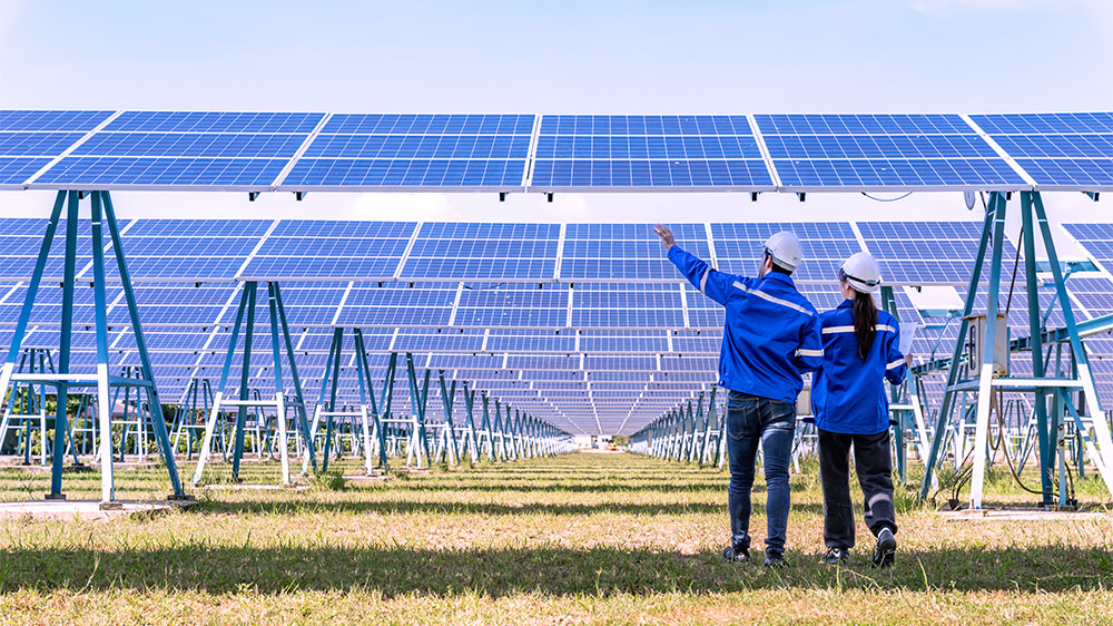Profissionais analisam painéis solares em uma usina fotovoltaica, representando inovações tecnológicas no setor de energia verde.
