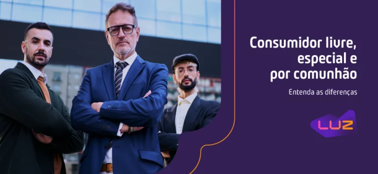 Consumidor livre, especial e por comunhão